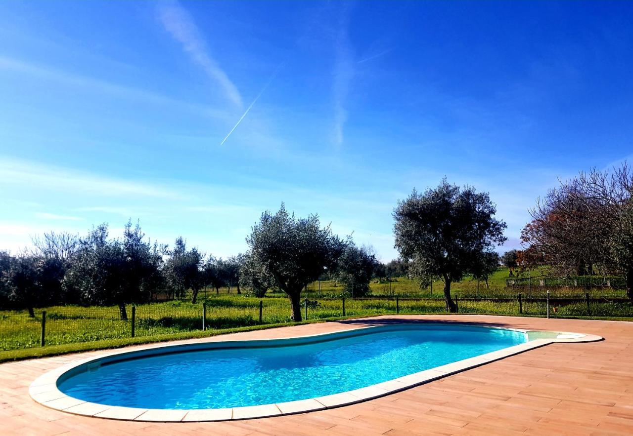 Oliveira Country House Figueira e Barros Exterior photo
